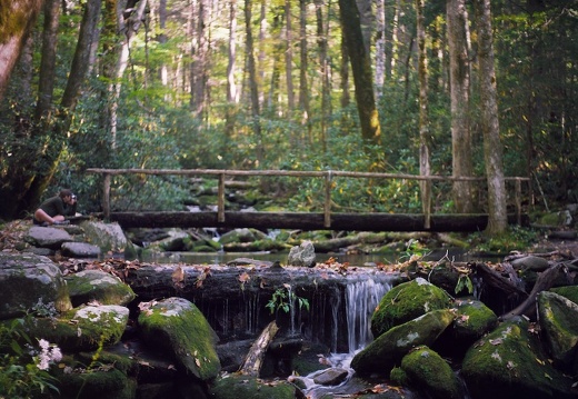 Gabes Mountain Trail